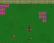 Fast lawn mower online