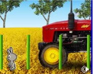 Rabbits adventure online